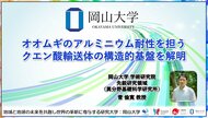 【岡山大学】オオムギのアルミニウム耐性を担うクエン酸輸送体の構造的基盤を解明
