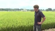 概算金引き下げにコメ農家「落胆と危機感」　去年比1万円以上減　岩手県 