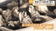 【養殖カキ大量死乗り越え…】１）「ブランディング」で生き残り　邑久町漁協の取り組み【岡山・瀬戸内市】