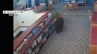 ゴミあさろうと？コンテナが坂道滑り落ちクマぼう然　図書館に現れたクマ　欲しかったのは本ではなくスナック菓子　トルコなど