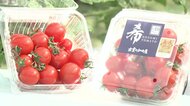 野菜ソムリエが認め全国銅賞に 甘さはイチゴ級…農業経験ゼロから娘のように育てた“即完売”のミニトマト【島根発】