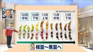 奇跡の“色変”も…知ってる?「霧の下」だからこそ美味しくなる食べ物 その意外な理由
