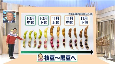 奇跡の“色変”も…知ってる?「霧の下」だからこそ美味しくなる食べ物 その意外な理由