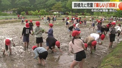「収穫したら感謝して食べたい」　日之出小学校と和田小学校の児童が恒例の「田植え体験」  農業の大変さ学ぶ【福井】