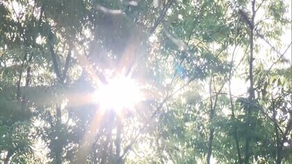 【速報】東京都・きのうの“熱中症”搬送者数224人　今年最多、初めて200人上回る　東京消防庁