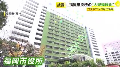 “緑いっぱい”の市役所をお披露目　ツタやツツジなど1000本を壁面やベランダに　12億円かけ地下鉄の駅なども緑化へ　福岡市