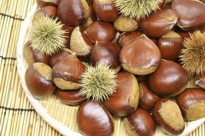 秋の味覚「栗」について大調査!!【1000人アンケート】