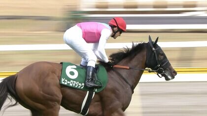 【アイビスSD・GⅢ＆クイーンS・GⅢ】アイビスSD初参戦C.ルメール騎手に導かれピューロマジックがレコードタイで駆け抜ける！　北の大地ではアルジーヌが人気に応え夏の女王の座に！