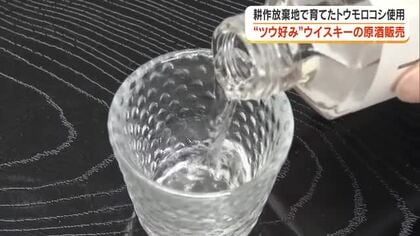 瀬戸内市の耕作放棄地で育ったトウモロコシでウイスキー…熟成前原酒の販売始まる【岡山】