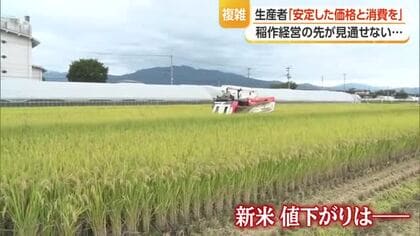 「売上の予測がつかなければ今後の計画もたてようがない」コメ価格の乱高下…複雑な思いを抱く生産者　山形