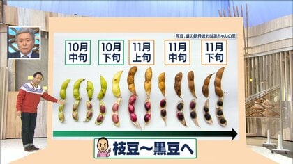 奇跡の“色変”も…知ってる？「霧の下」だからこそ美味しくなる食べ物　その意外な理由