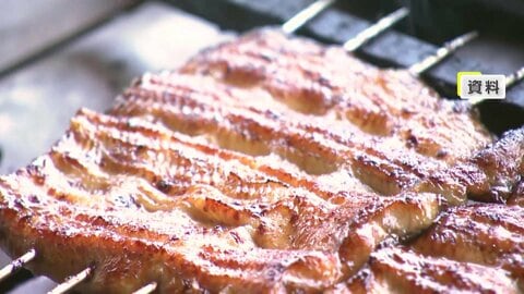 「まずはホッとした」ウナギ“国際取引規制案”は「否決」に…消費量約7割が輸入の日本は「可決」になれば値上がりも　12月5日本会議で再投票へ