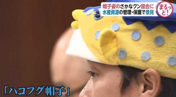 帽子ｎｇ の国会に登場した さかなクン あのトレードマークは なぜｏｋになったのか