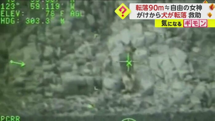 救助をおとなしく待っている犬(USCG PacificNorthwest via Twitter)