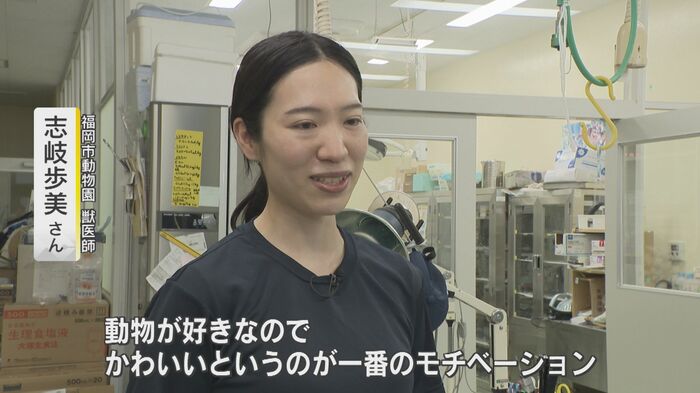 福岡市動物園・獣医師 志岐歩美さん