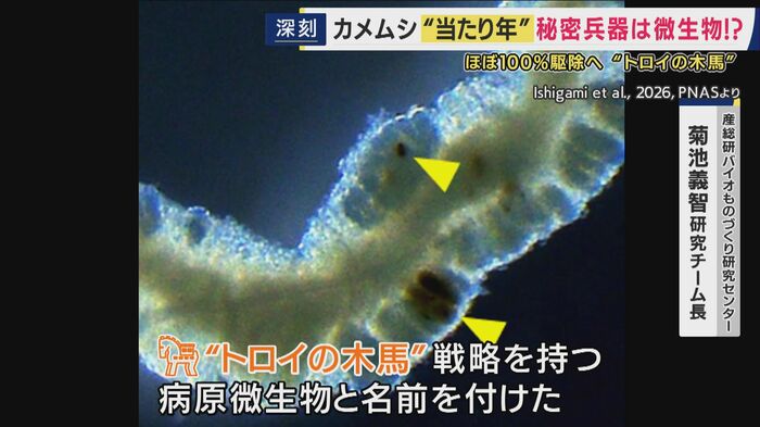 「病原微生物」