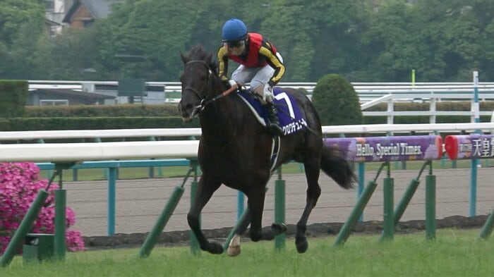 天皇賞春を制したクロワデュノール