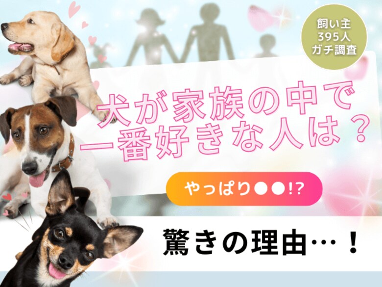 【飼い主395人に調査】家族の中で愛犬に一番好かれるのは誰？半数が選んだのはあの人