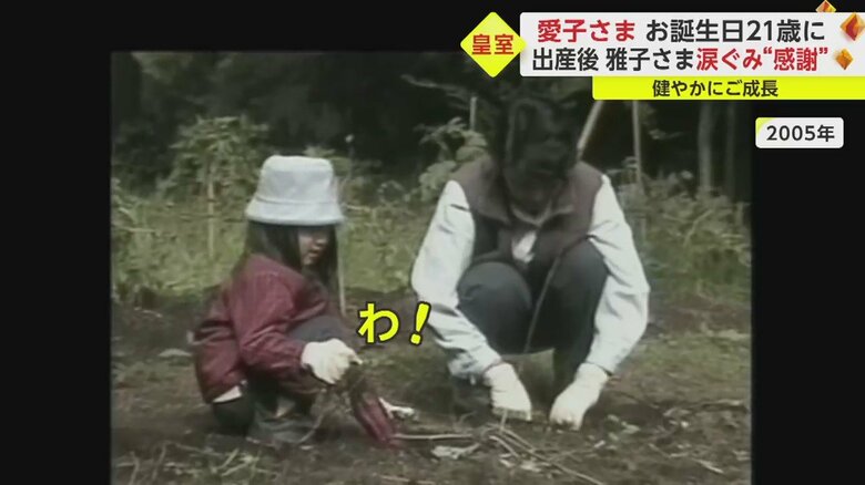 愛子さま、サツマイモ掘りを体験