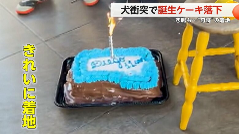 ひっくり返ることなく着地したケーキ（Vialhog/スペクター）