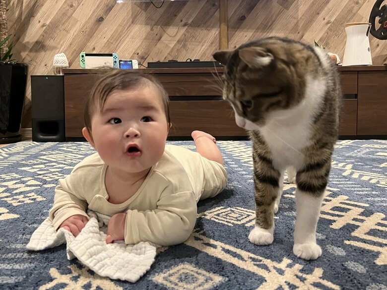 うつ伏せ練習に付き合ってくれるキウイくん