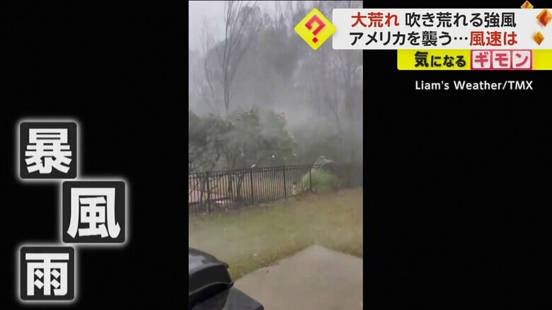 激しい雨で辺りがかすむ中、木が大きく揺れている