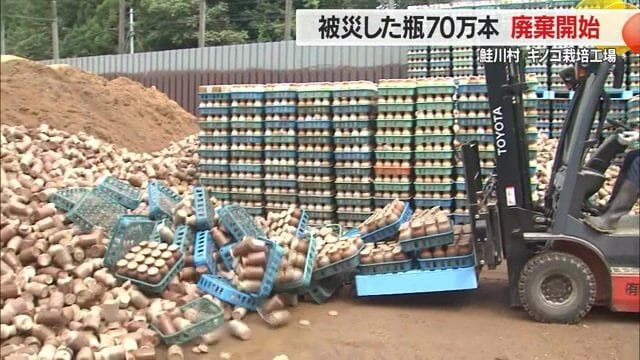 菌が全滅し廃棄処分に…