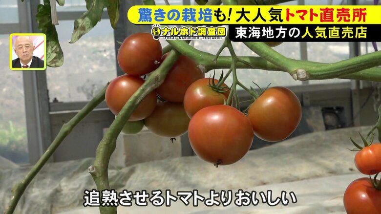 ニュースONE