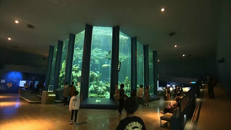 東海大海洋科学博物館（静岡市）