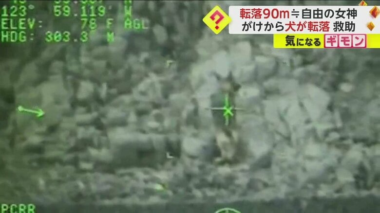 救助をおとなしく待っている犬（USCG PacificNorthwest via Twitter）