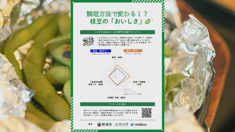 枝豆の分析結果を載せたチラシ