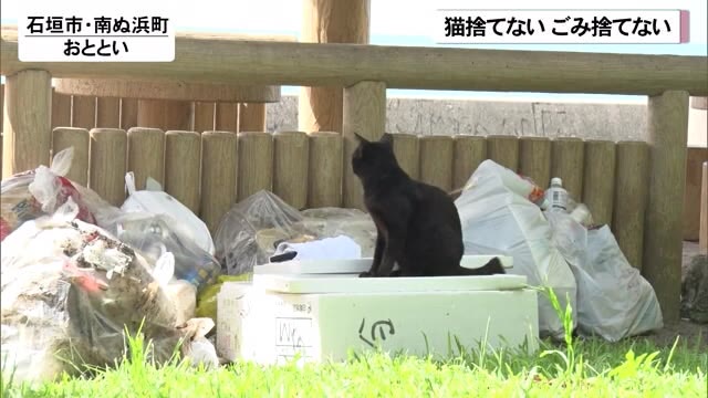 猫捨てないで ごみ捨てないで