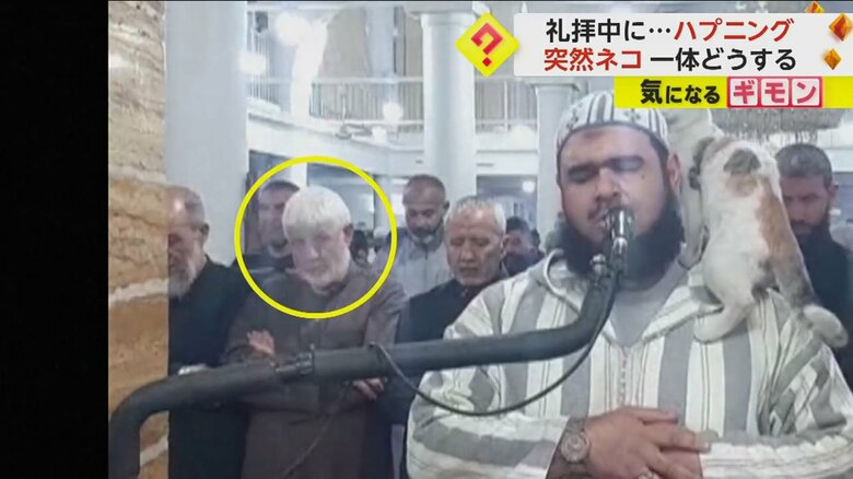 指導者の後ろの人がネコを見ている（The Official Page Of Sheikh Walid Mehsas）