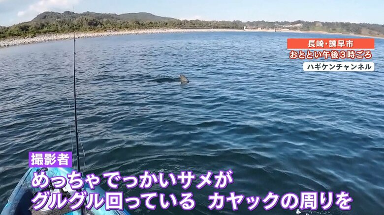 カヤックを狙うかのように、周囲をグルグル回る