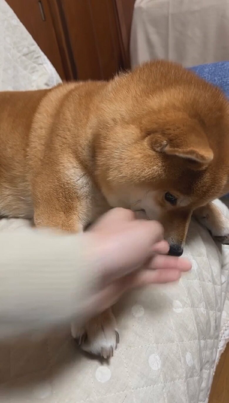 何度も繰り返すその様子は