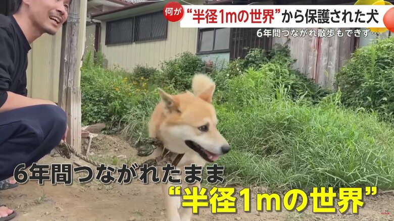 “半径1メートルの世界”にひとりぼっちだったジョン