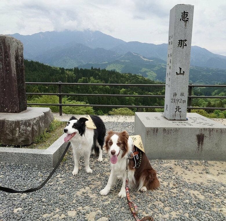 岐阜・馬籠宿にお出かけ（左：マロくん　右：異母兄弟のケイくん）
