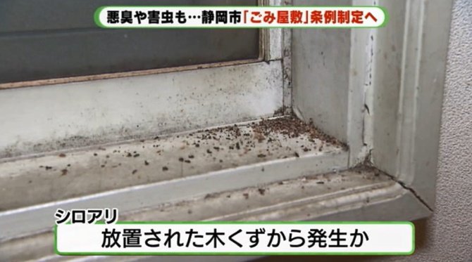 物があふれた家に接している壁には亀裂や穴が