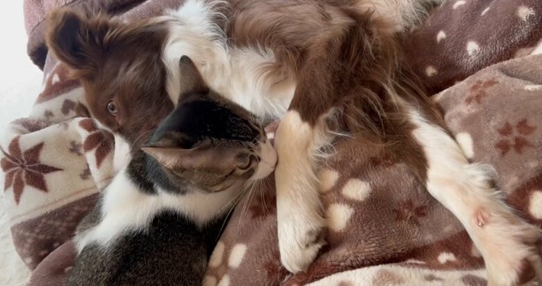 提供：ゆに＆メッシさん