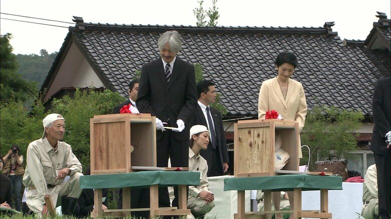 平成20（2008）年　初のトキ放鳥（新潟・佐渡市）