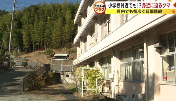 小学校と近くの山