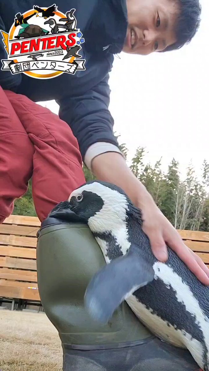 イマイケルさんの足にくっついているように見えるガンくん