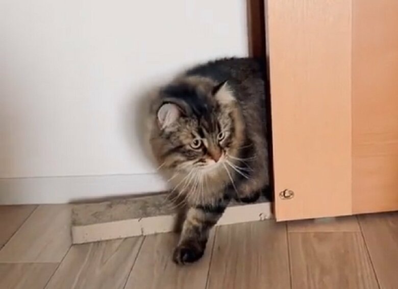 目をそらさずに