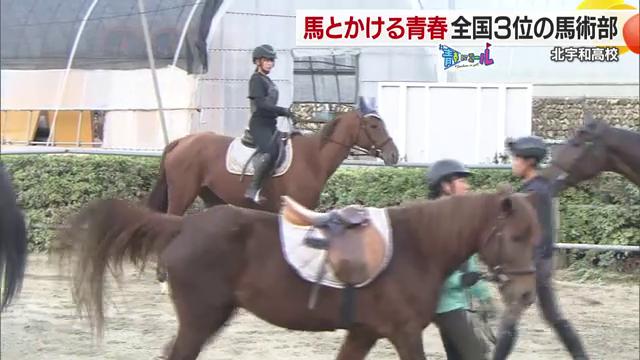 人馬一体で馬術競技に打ち込む