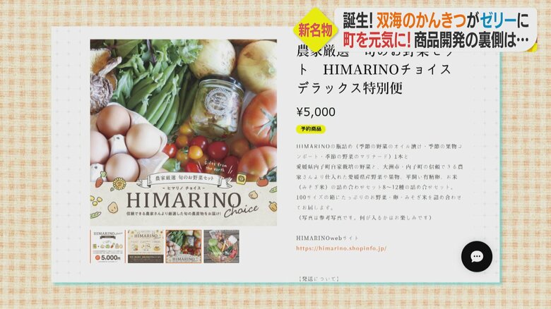 “愛媛の味を楽しめる”セットをネットで販売