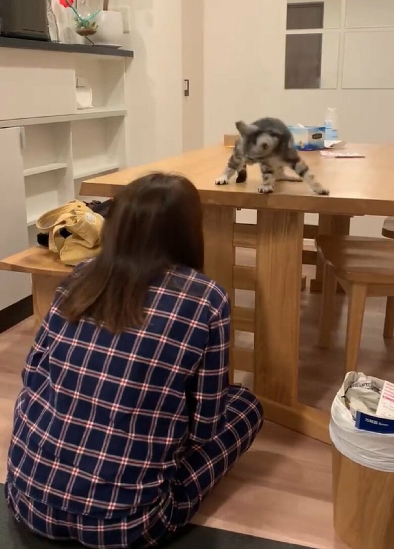 もう1回タッチするべき？