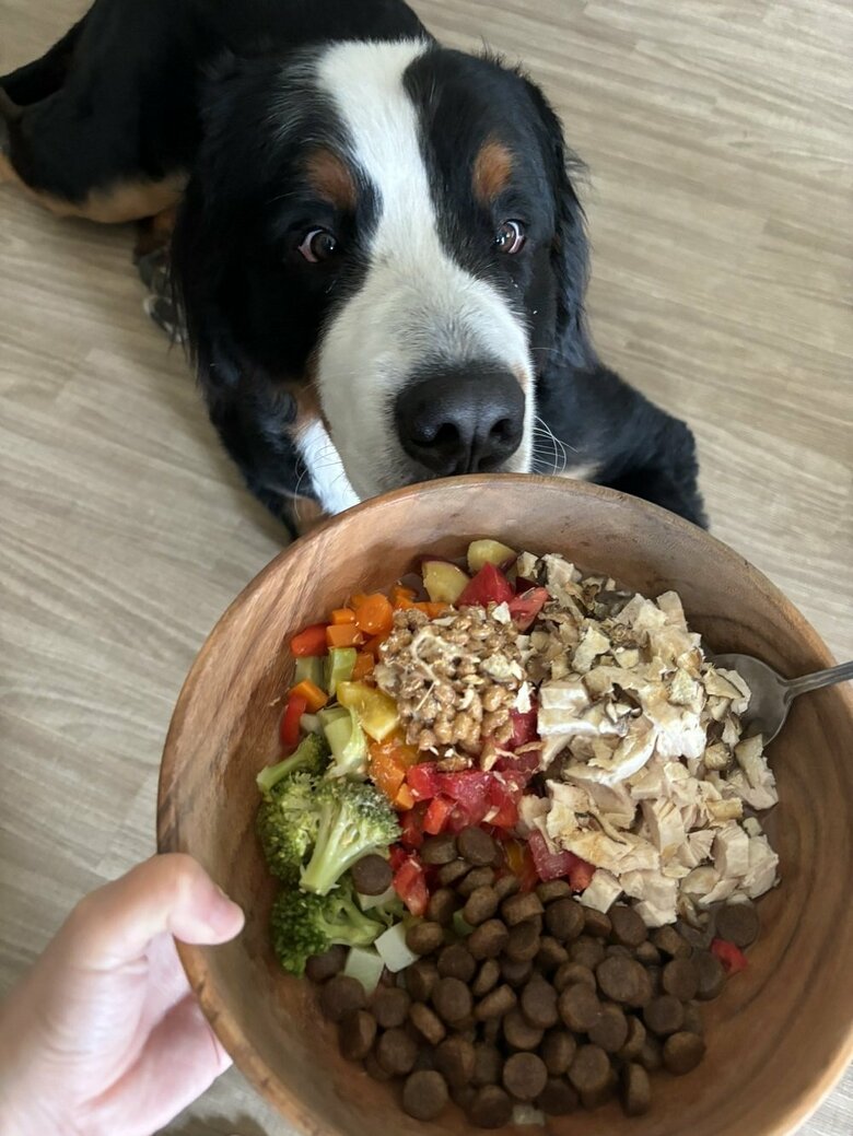 「おいしそう！」