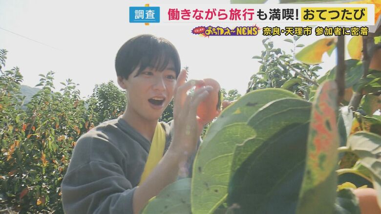 1つ採るにも意外に苦労