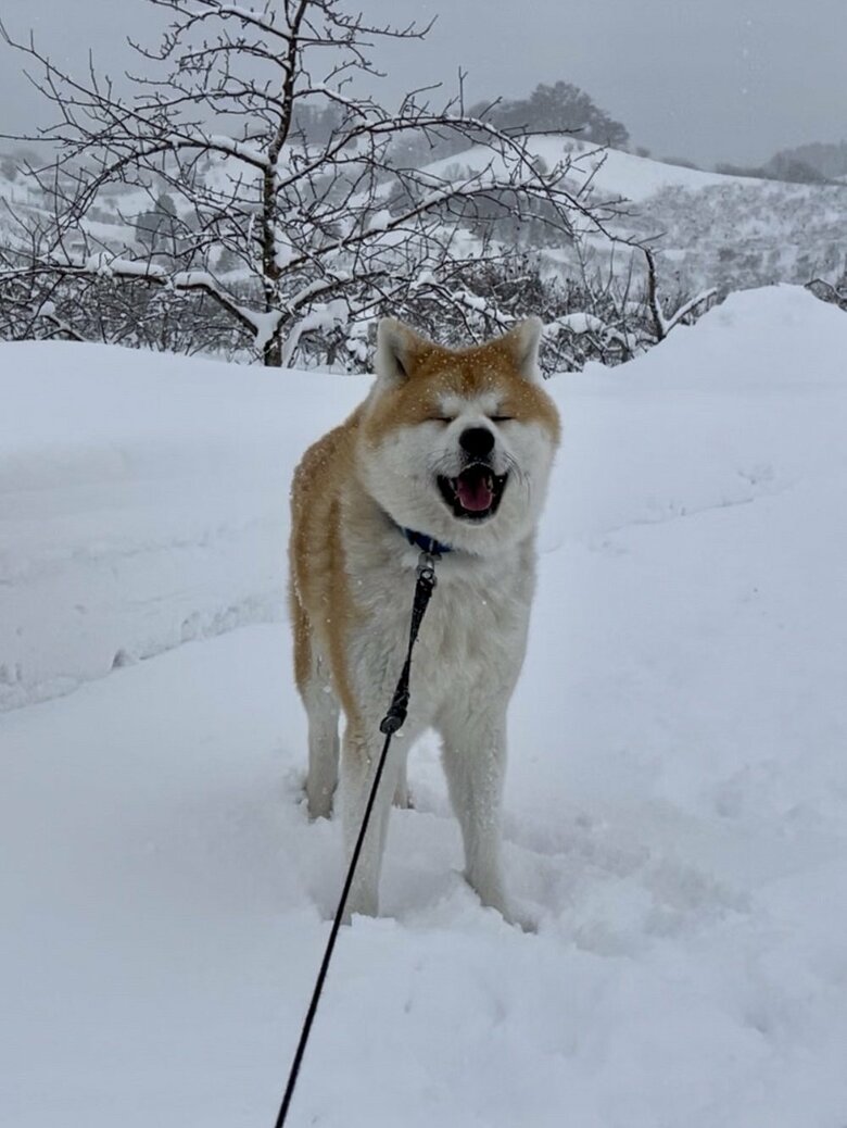雪の中笑顔