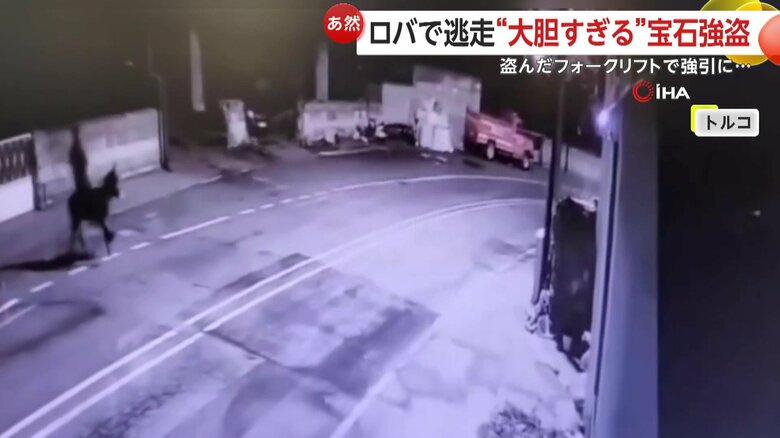 手綱を握り、動物にまたがっていた犯人